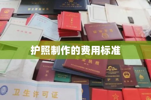 苍南护照制作的费用标准